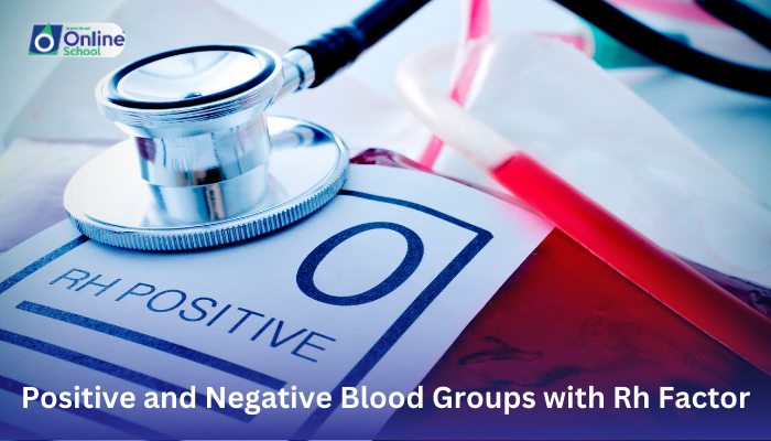 Lesson 15: Association of Positive and Negative Blood Groups with the Presence and Absence of Rh Factor